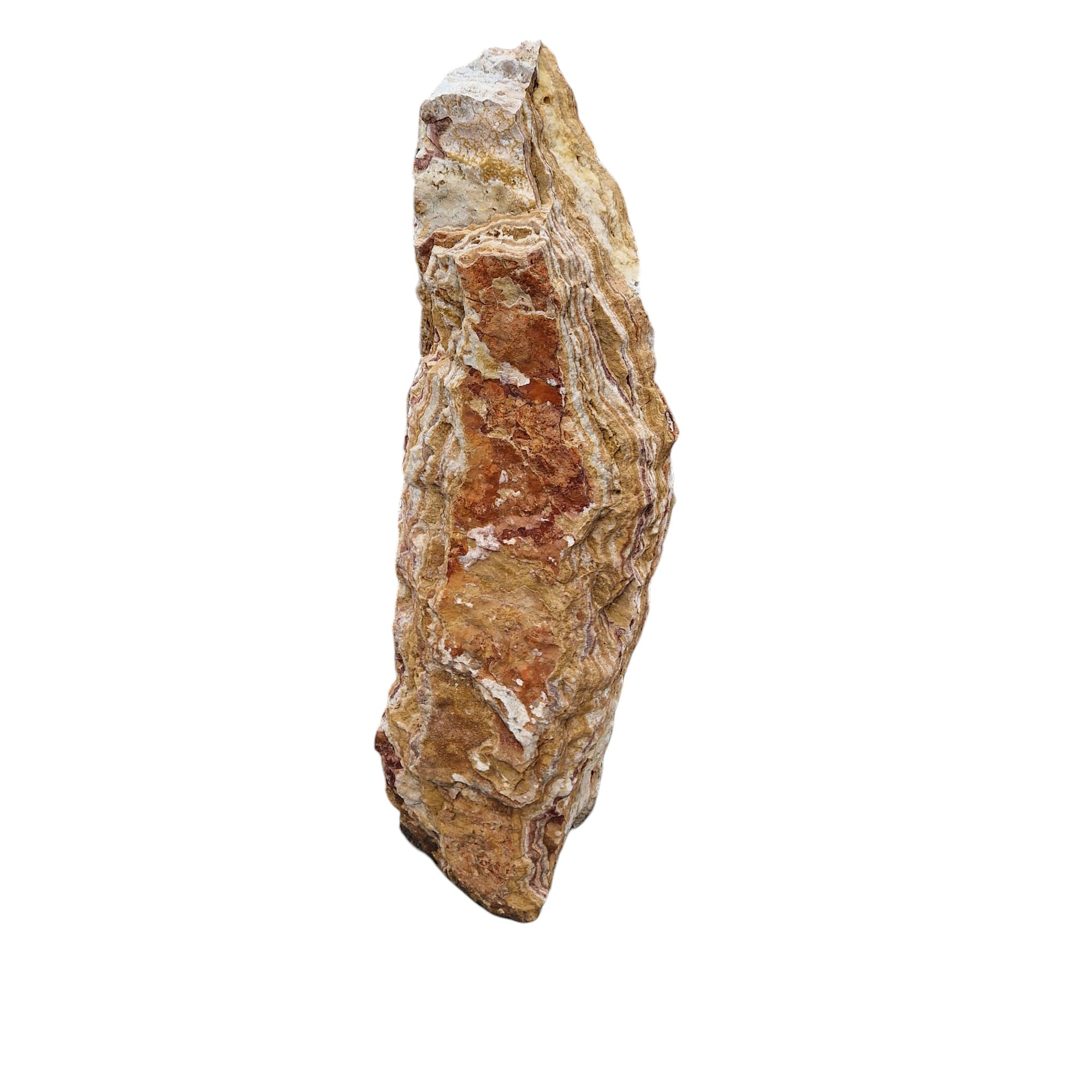 20240404_110855 — kopia-Photoroom