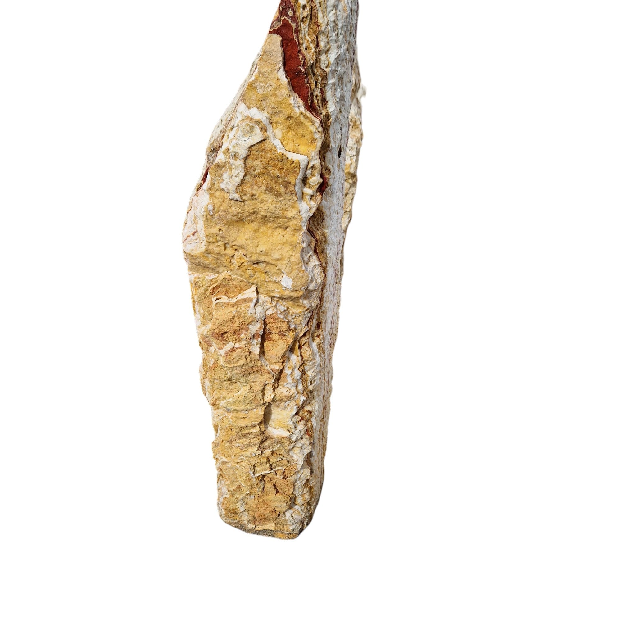 20240404_112318-Photoroom