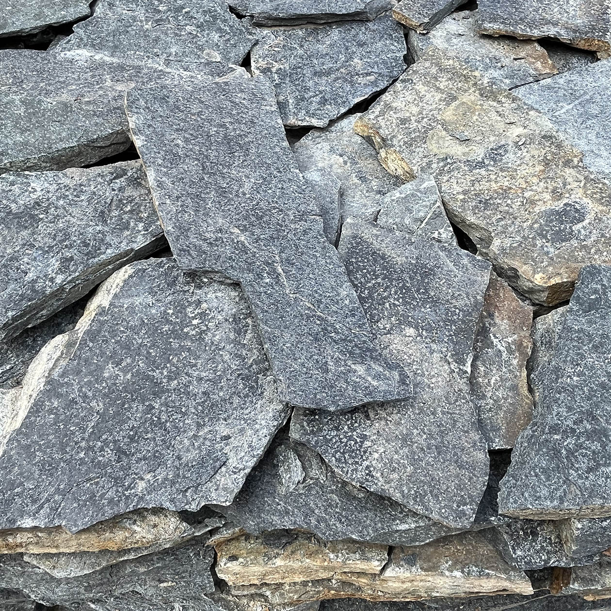 kwiat pustyni grafits